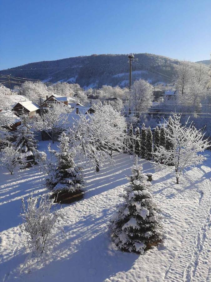 Kryvyi Brid Holiday home *