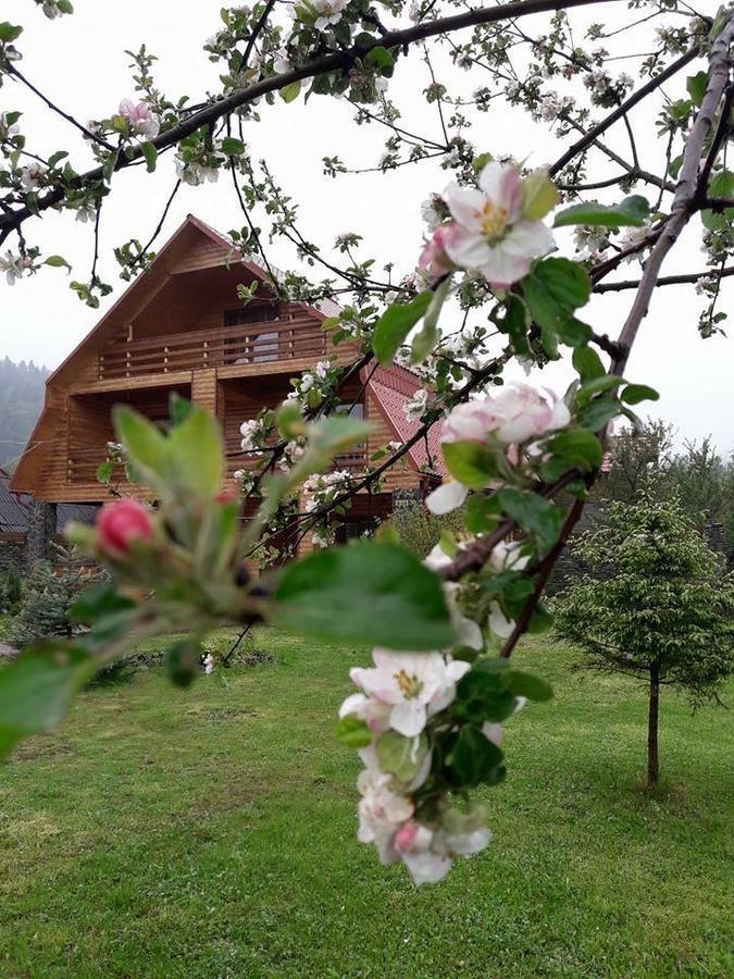 Holiday home Kryvyi Brid